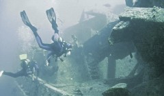 Scufundari la Sha`ab Ali, Sharm el Sheikh, Egipt