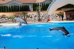 Conny-Land in Lipperswil, Elvetia