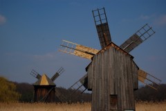 Padurea Dumbrava, Muzeul in aer liber