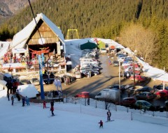 Parrrtie... Paltinis