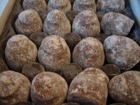 Teuscher champaigne truffles