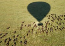 Priveliste din balonul cu heliu asupra Parcului National Zambezi