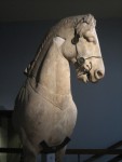 Unul din caii din varful Mausoleului de la Halicarnas, British Museum, Londra
