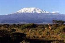 Kilimanjaro, Kenya, Africa