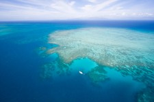 Marea Bariera de corali, Australia