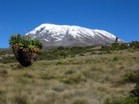 Priveliste spre Kilimanajaro, Kenya