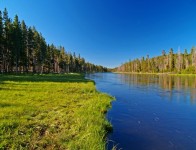 Yellowstone National Park, SUA