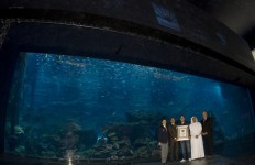 Dubai-Aquarium-Discovery-Centre, Emiratele Arabe
