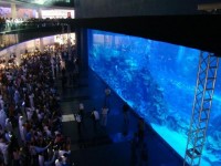 Mall Dubai Aquarium, Emiratele Arabe