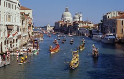 Coraziere Mediterana - Venetia