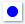 punct_albastru